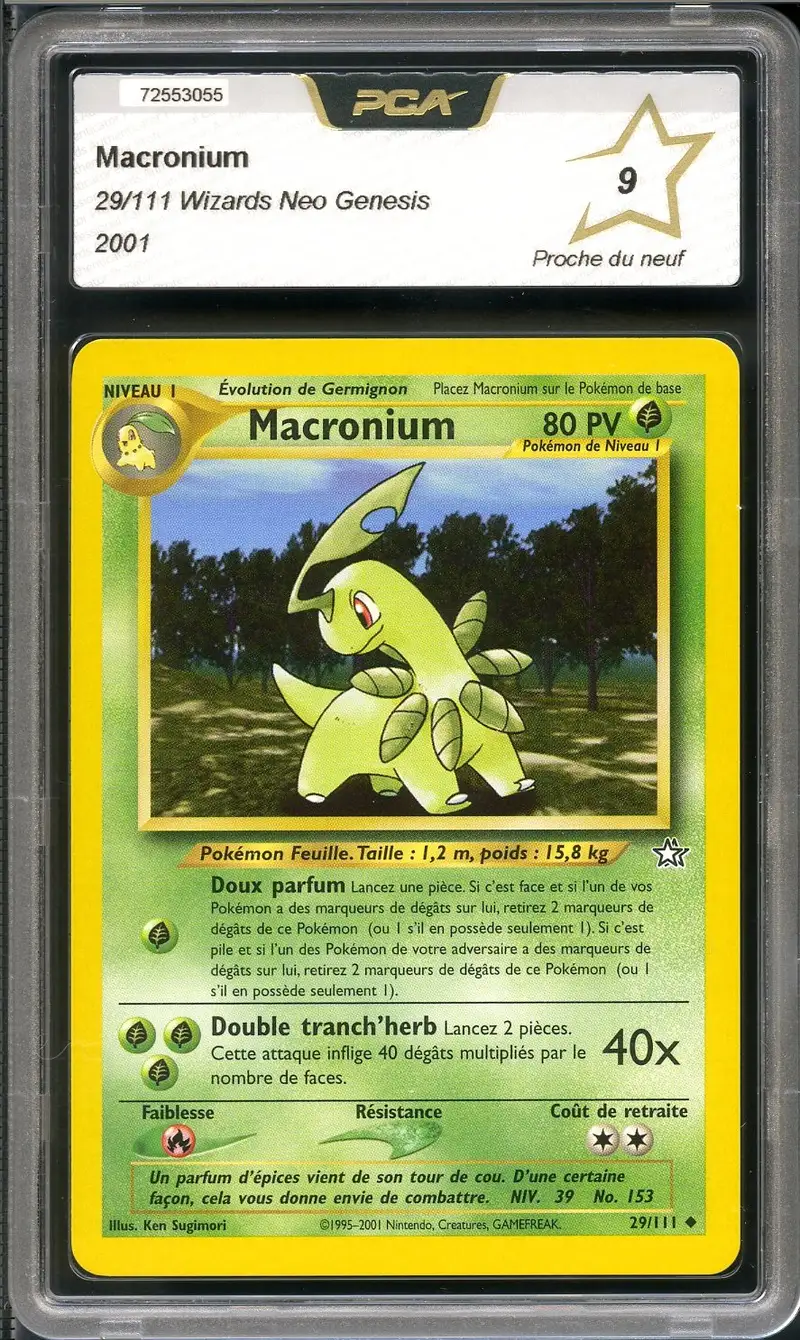 PCA 9 Macronium