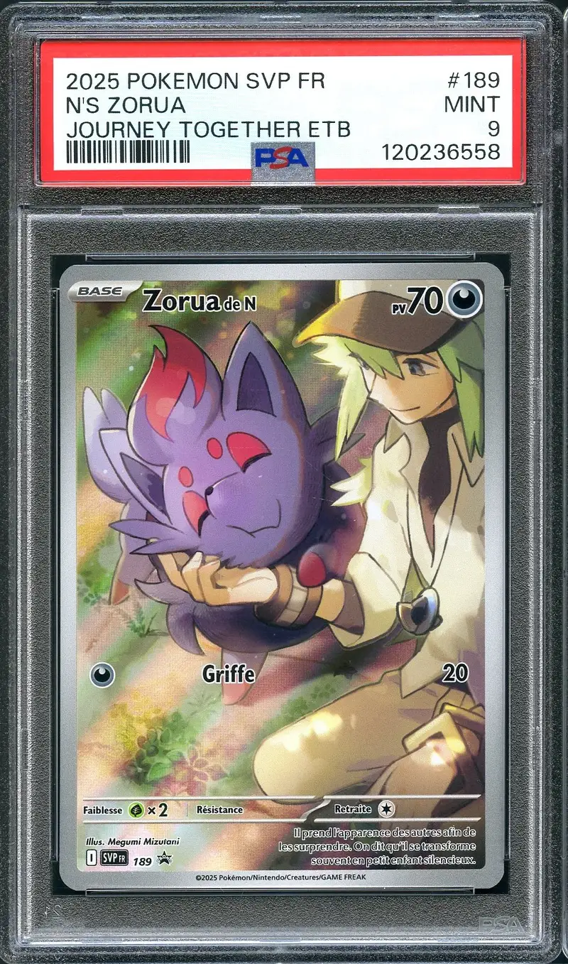 PSA 9 Zorua de N