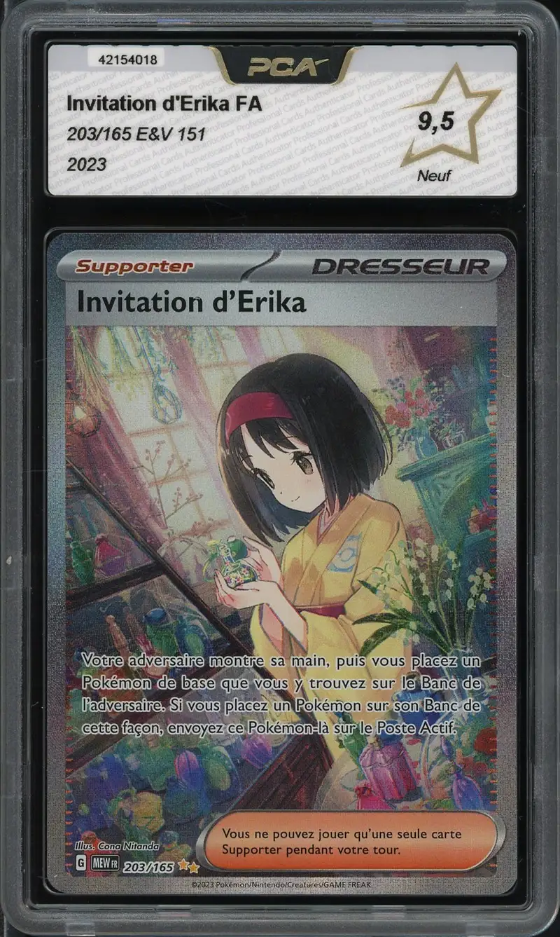 PCA 9.5 Invitation d'Erika