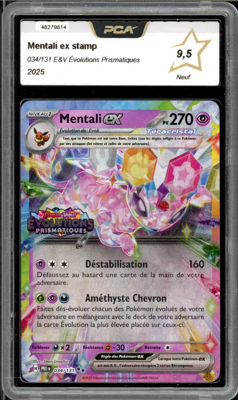 PCA 9.5 Mentali Ex