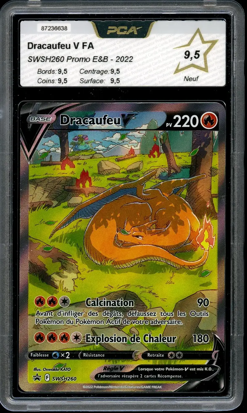 PCA 9.5 Dracaufeu V