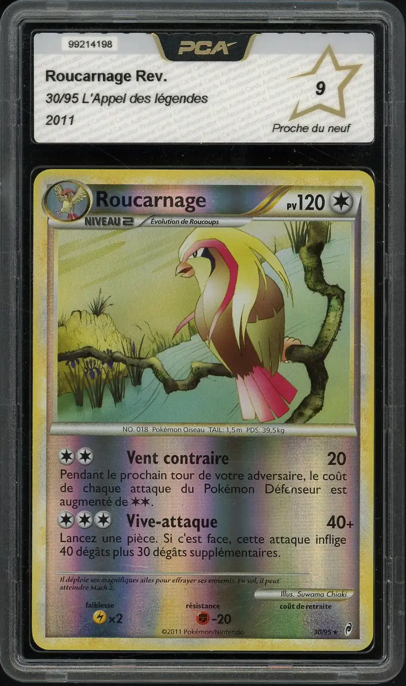 PCA 9 Roucarnage Reverse