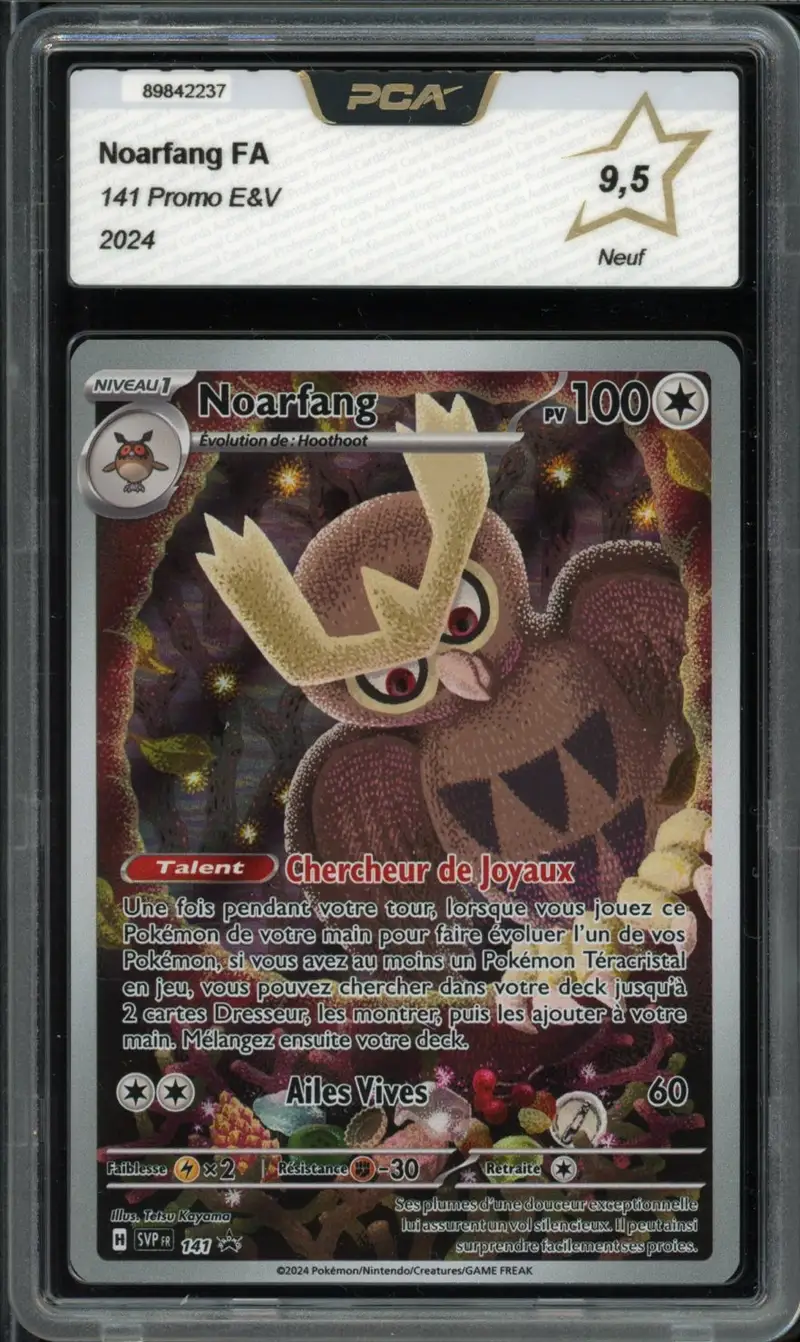 PCA 9.5 Noarfang
