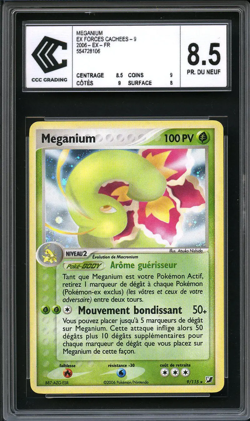 CCC 8.5 Méganium Holo