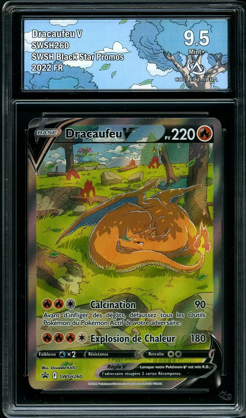 CA 9.5 Dracaufeu V