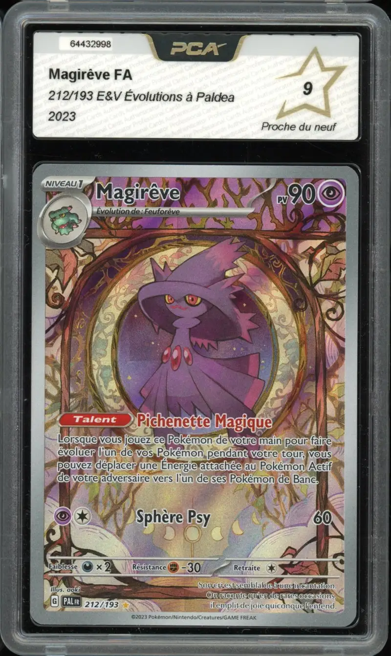 PCA 9 Magirêve