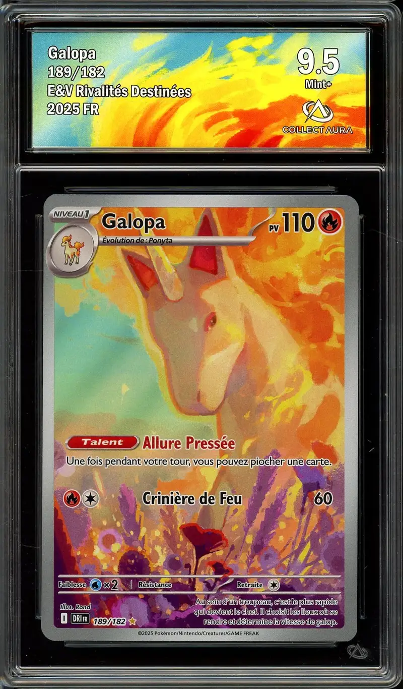 CA 9.5 Galopa