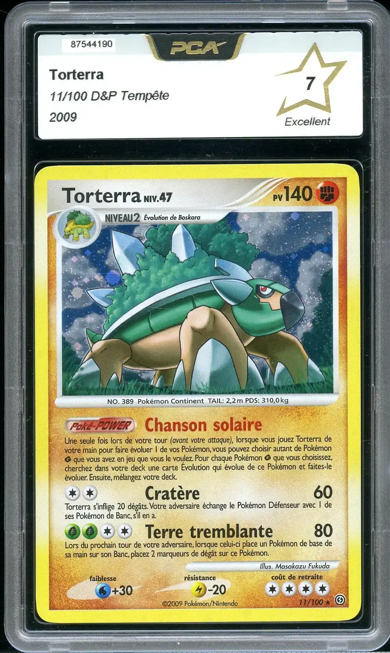 PCA 7 Torterra Holo