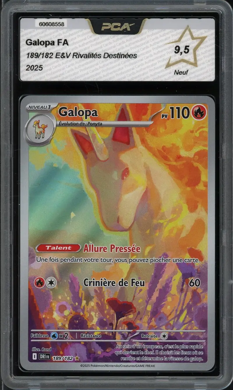 PCA 9.5 Galopa