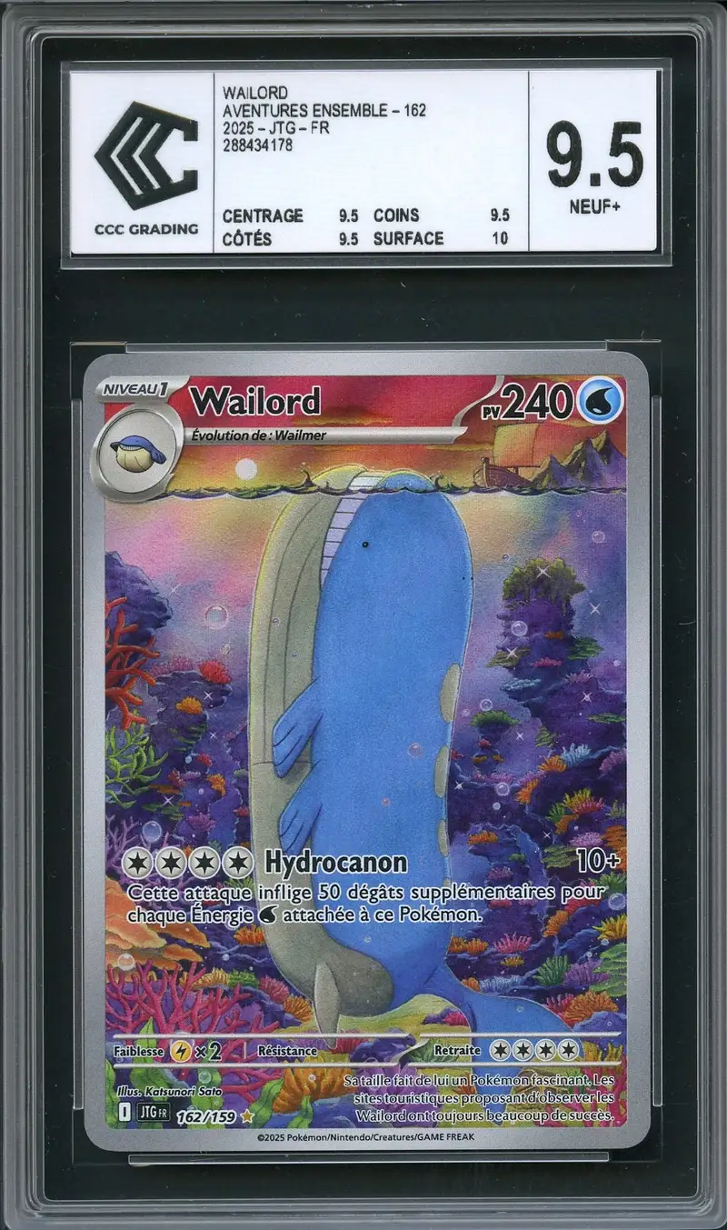 CCC 9.5 Wailord