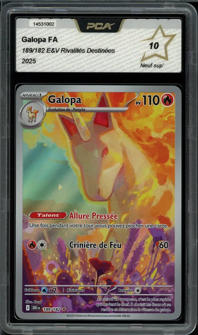 PCA 10 Galopa