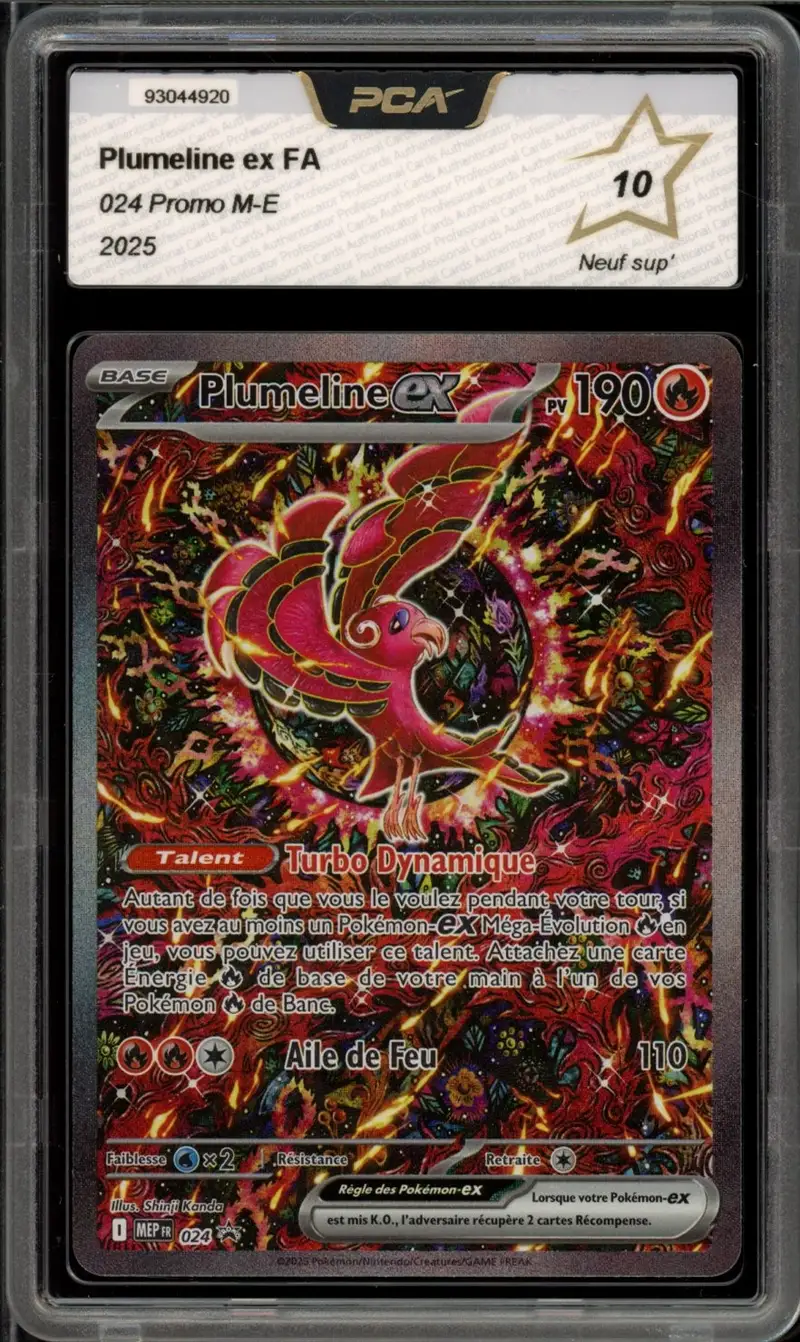 PCA 10 Plumeline Ex