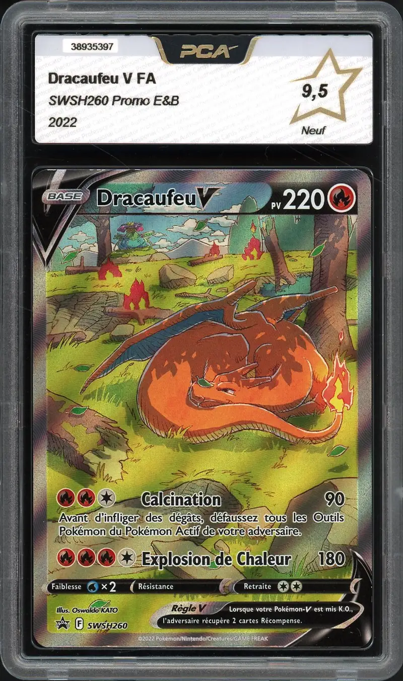 PCA 9.5 Dracaufeu V