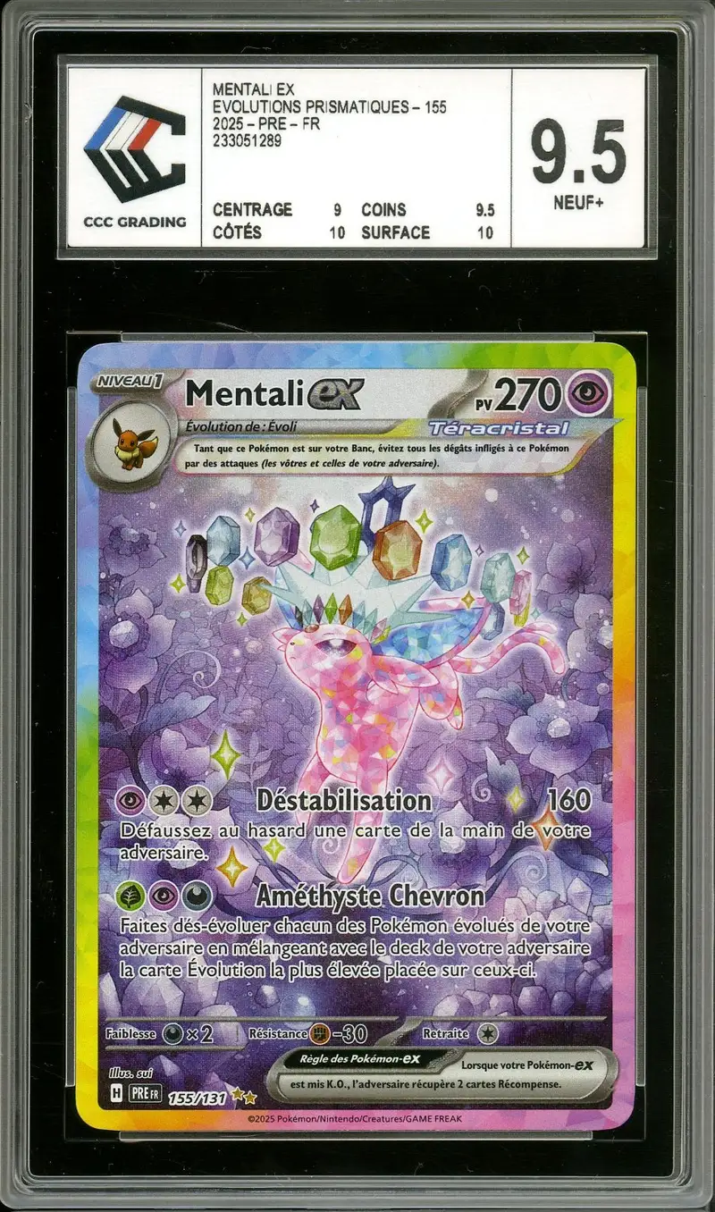 CCC 9.5 Mentali Ex