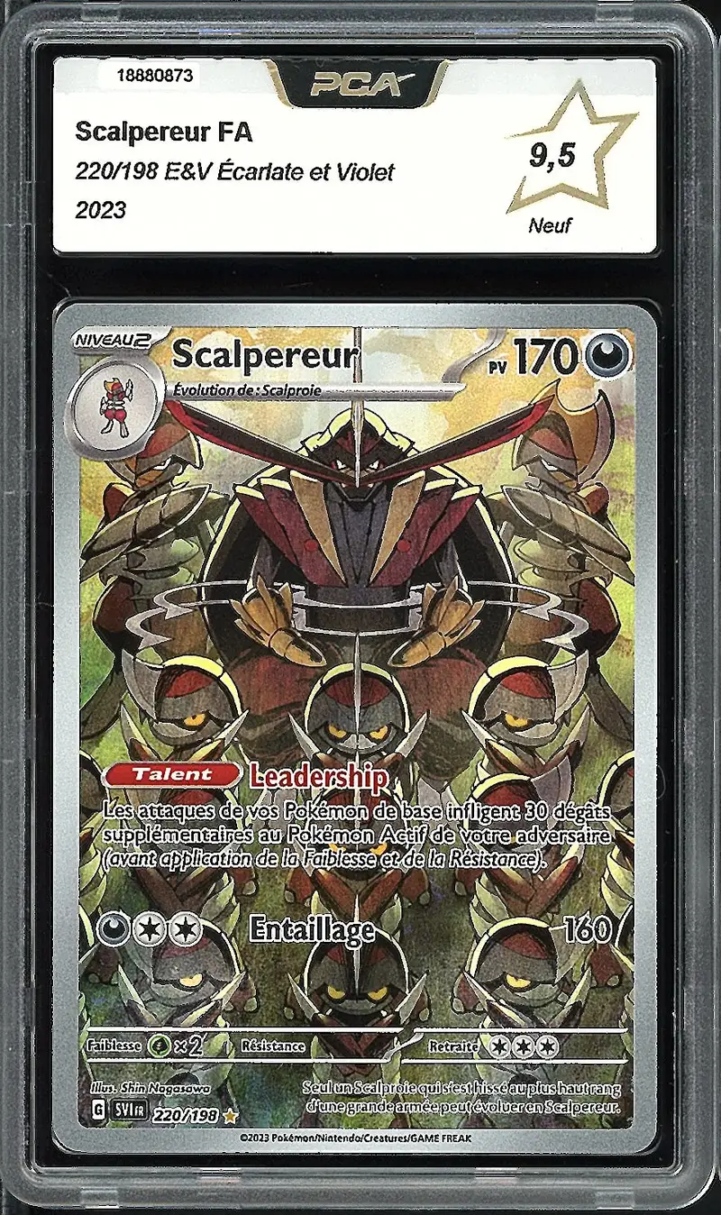 PCA 9.5 Scalpereur