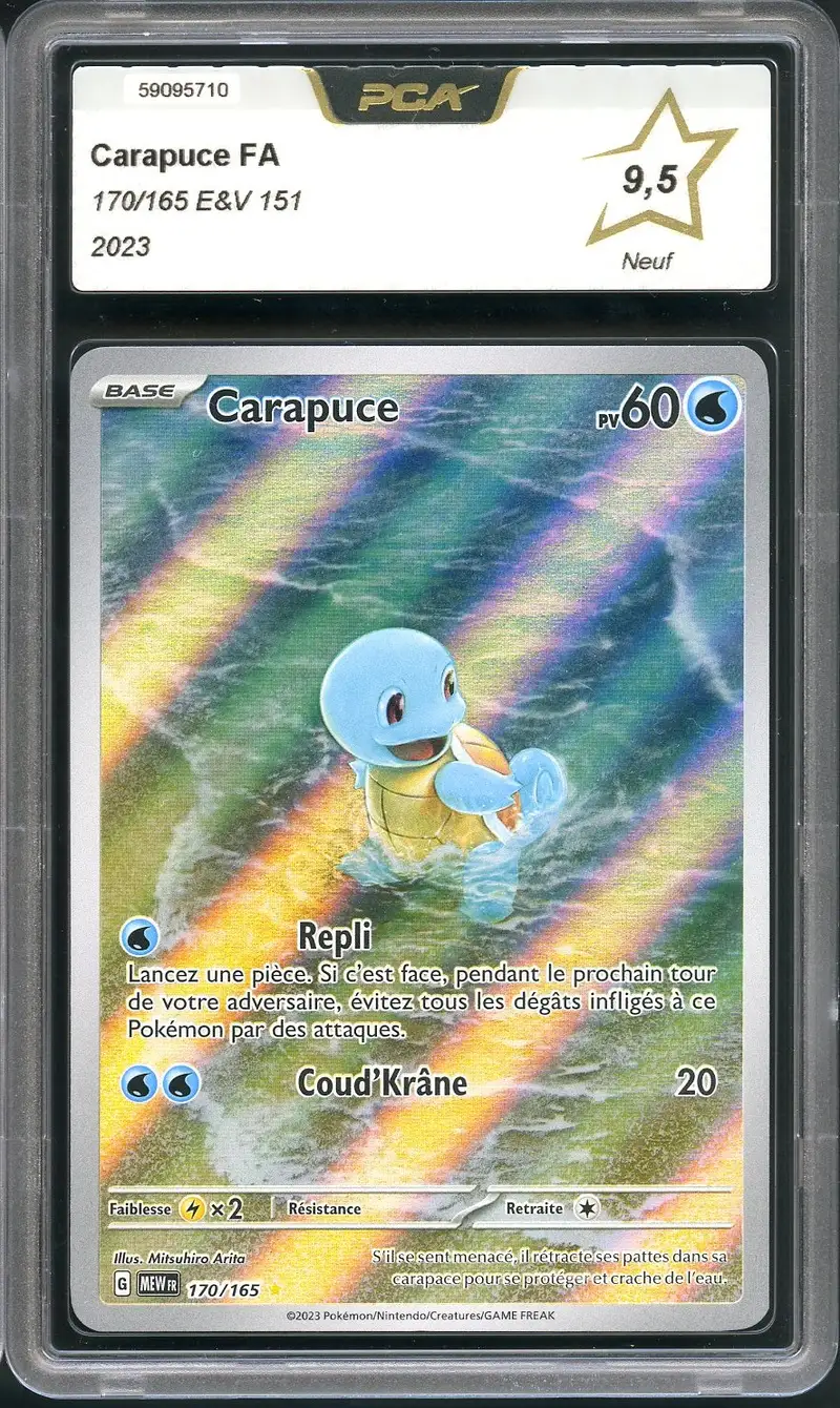 PCA 9.5 Carapuce