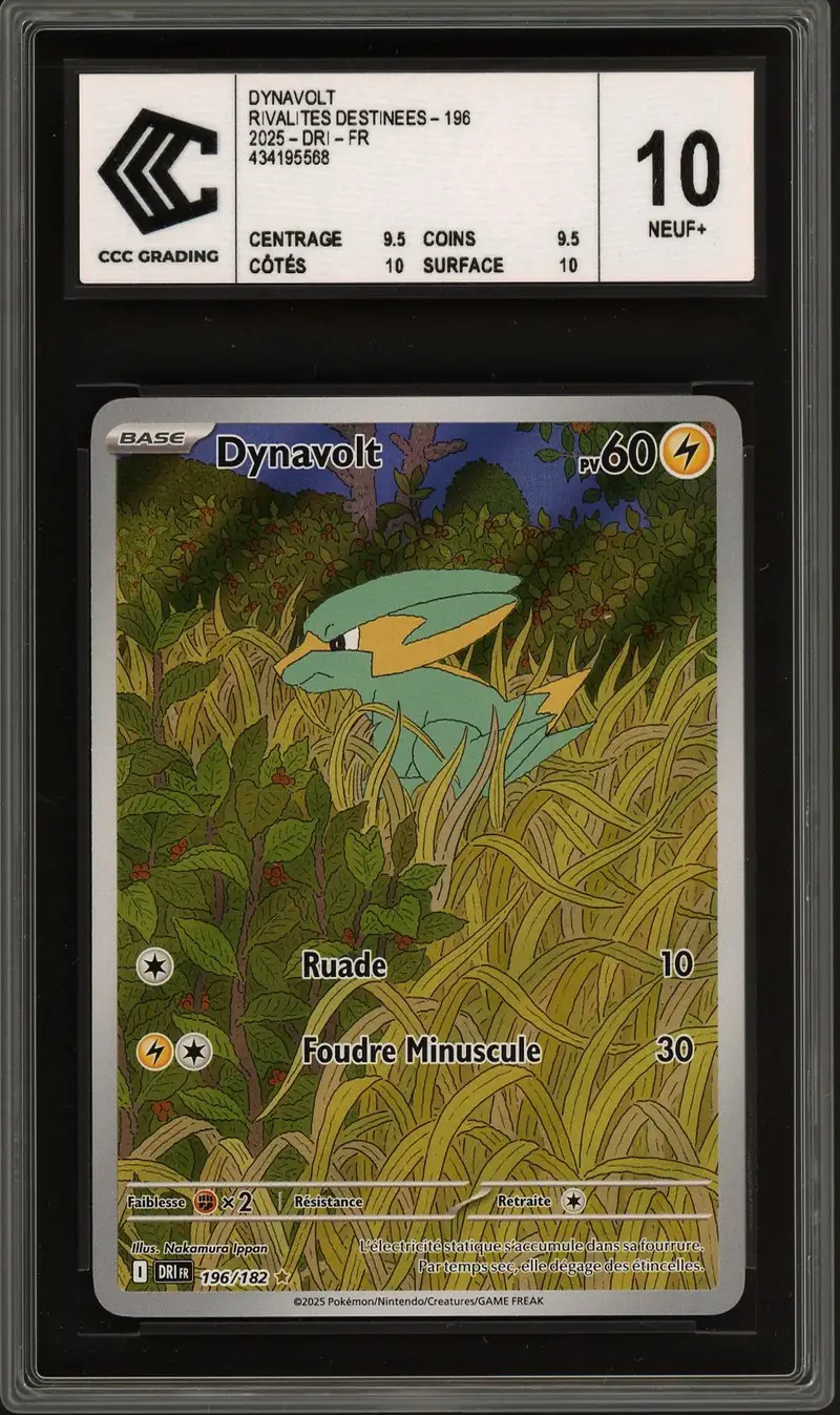 CCC 10 Dynavolt