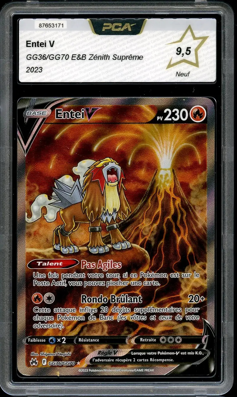 PCA 9.5 Entei V