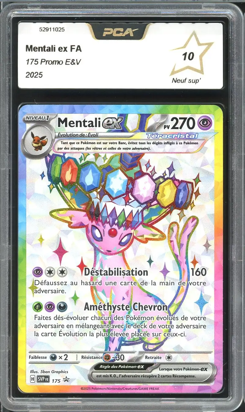 PCA 10 Mentali Ex