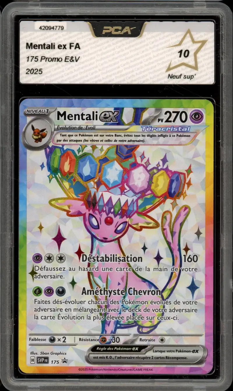 PCA 10 Mentali Ex