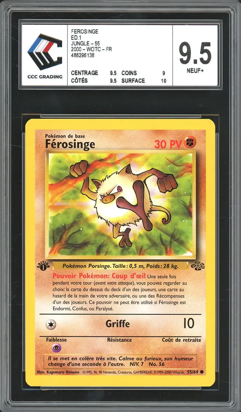 CCC 9.5 Férosinge