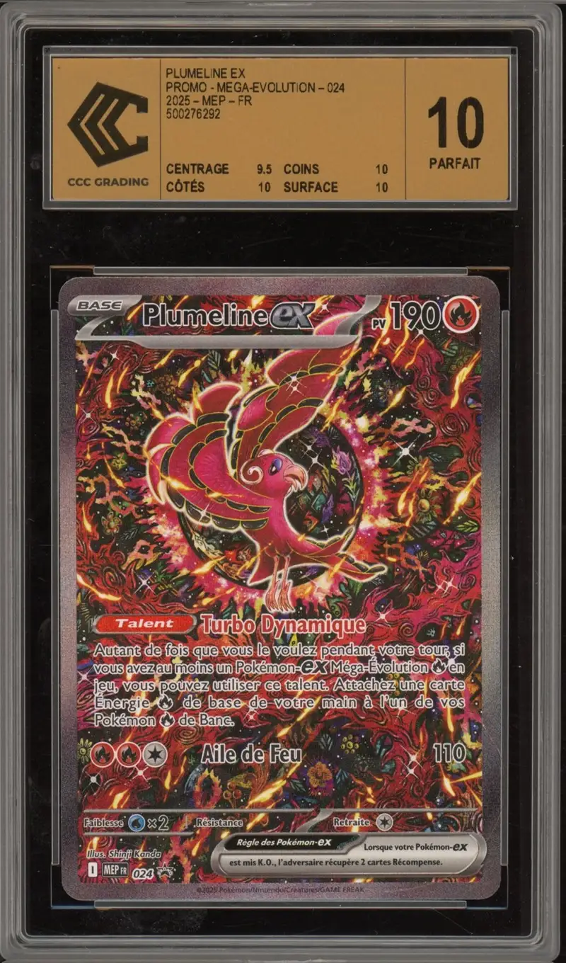 CCC 10 Plumeline Ex