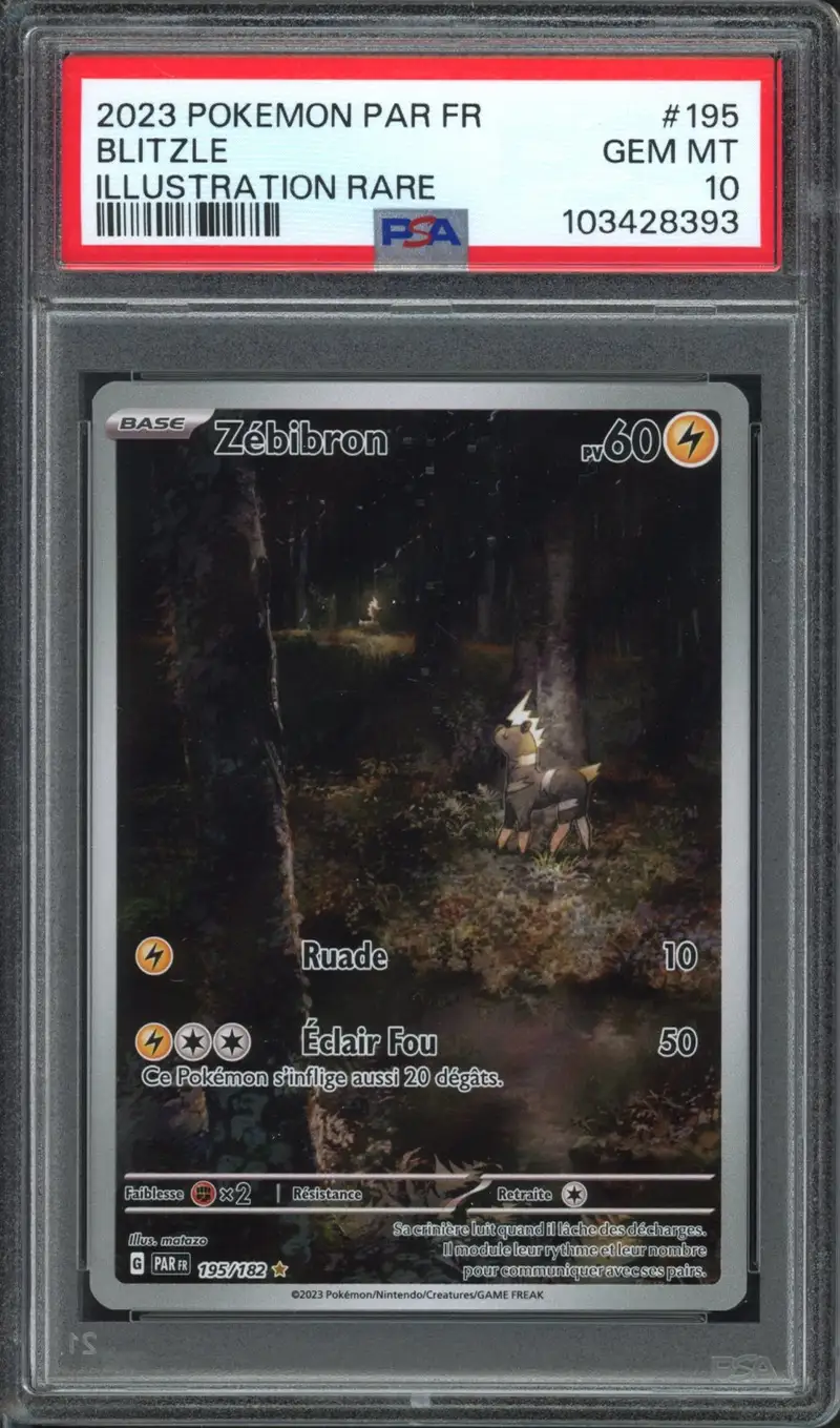 PSA 10 Zébibron
