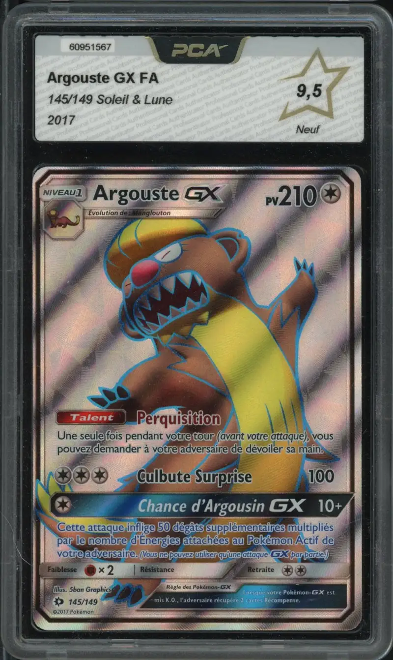PCA 9.5 Argouste Gx