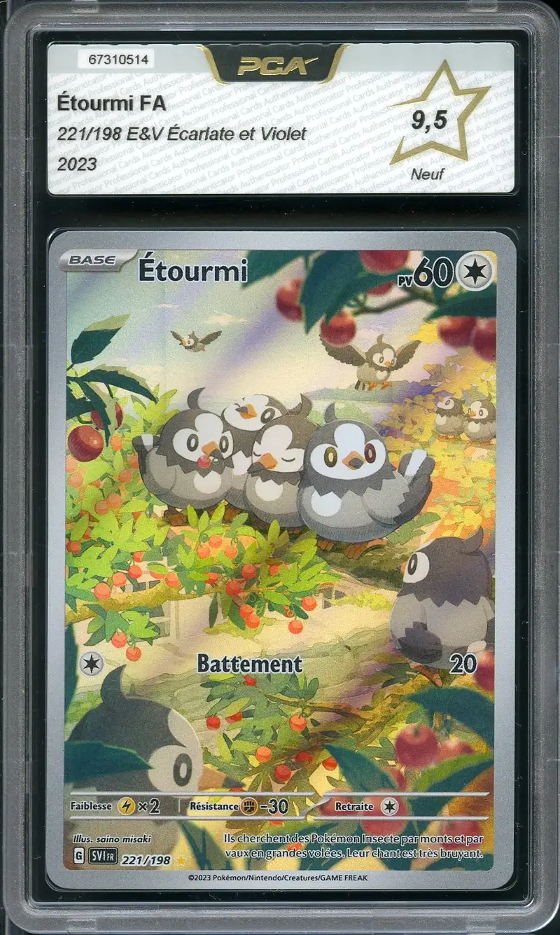 PCA 9.5 Etourmi