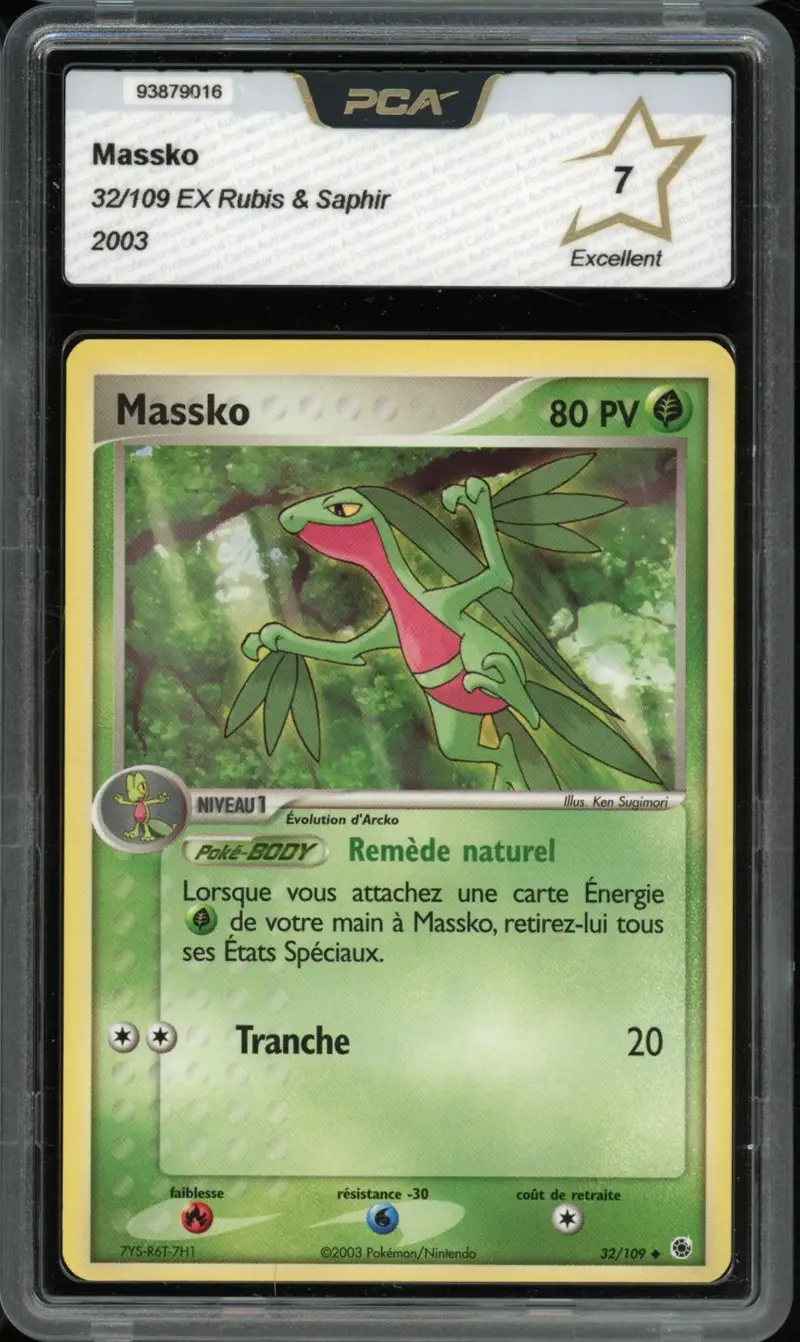 PCA 7 Massko