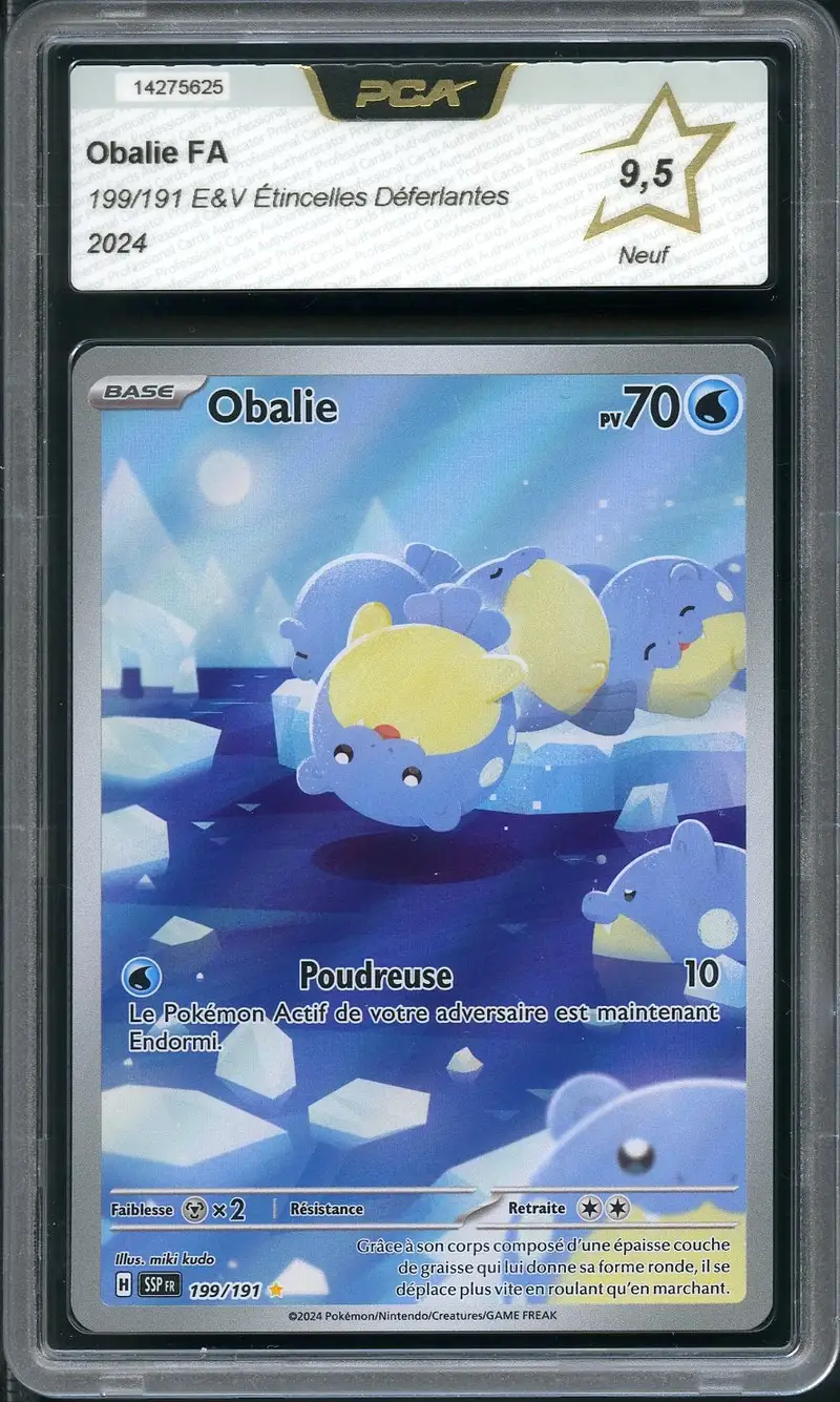 PCA 9.5 Obalie
