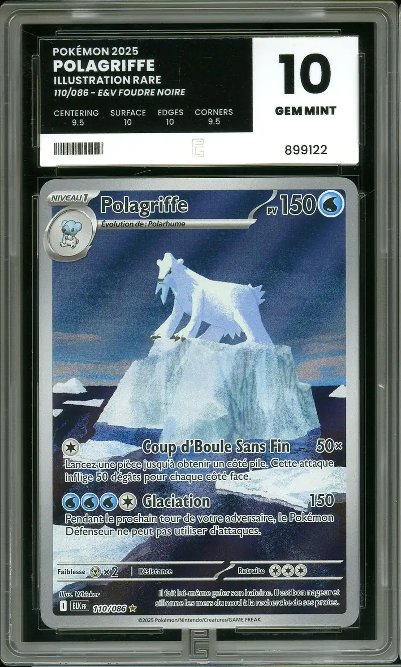 PG 10 Polagriffe