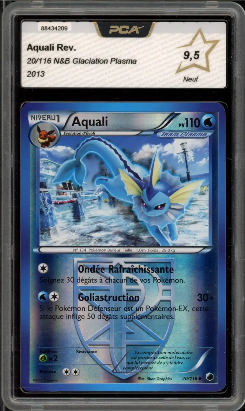 PCA 9.5 Aquali Reverse