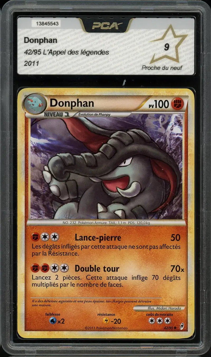 PCA 9 Donphan