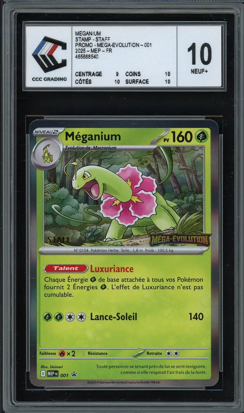 CCC 10 Méganium Holo Prerelease Staff