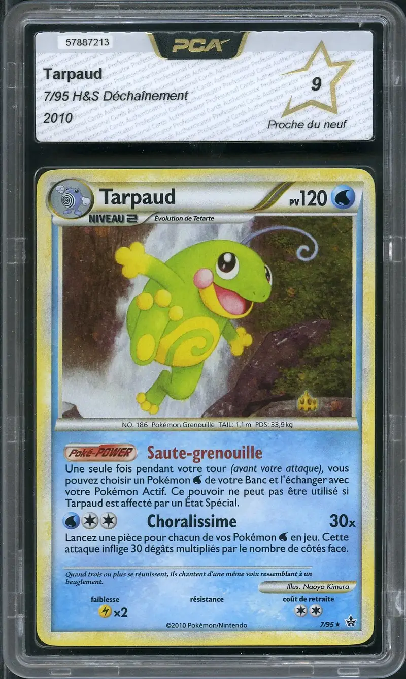 PCA 9 Tarpaud Holo