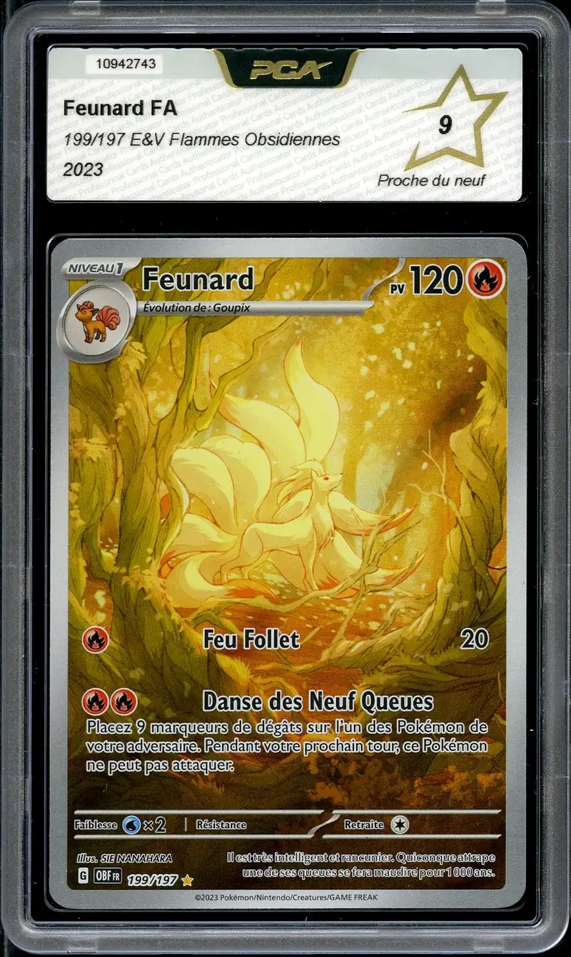 PCA 9 Feunard