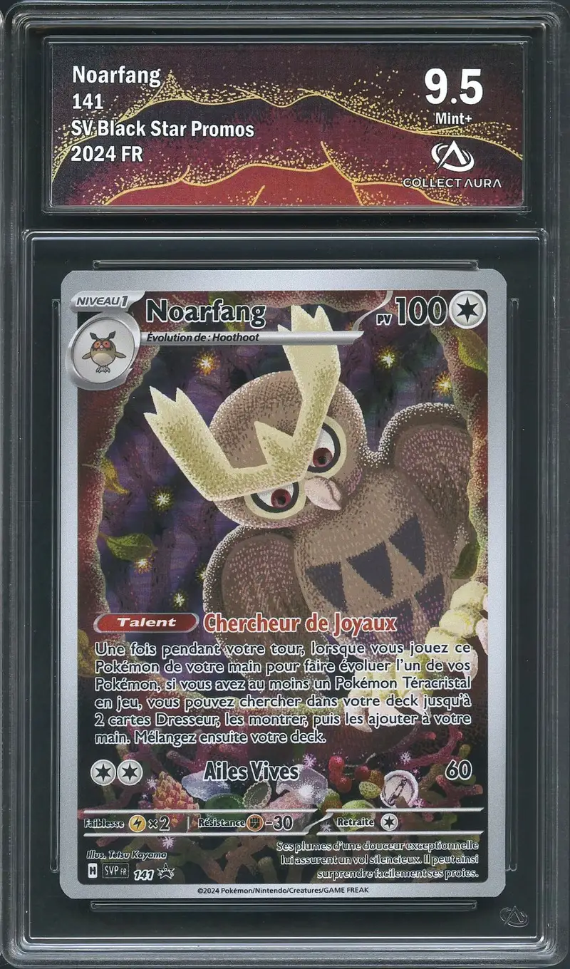 CA 9.5 Noarfang