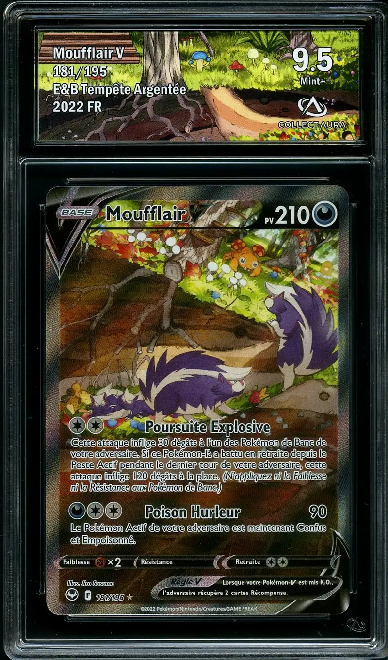 CA 9.5 Moufflair V