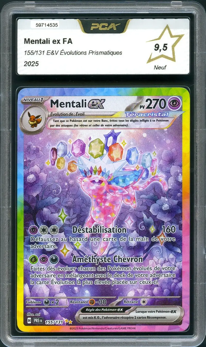 PCA 9.5 Mentali Ex