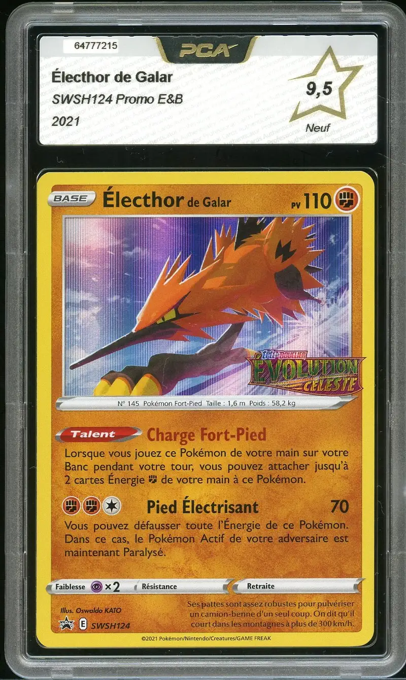 PCA 9.5 Electhor de Galar