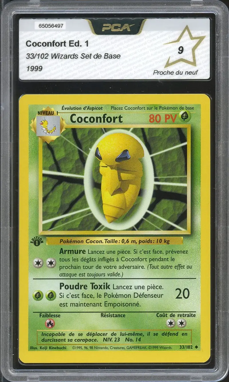 PCA 9 Coconfort