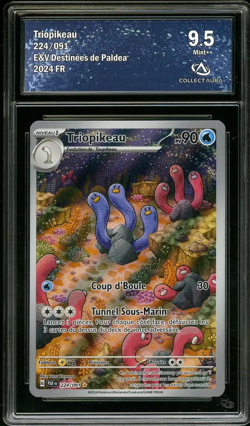 CA 9.5 Triopikeau