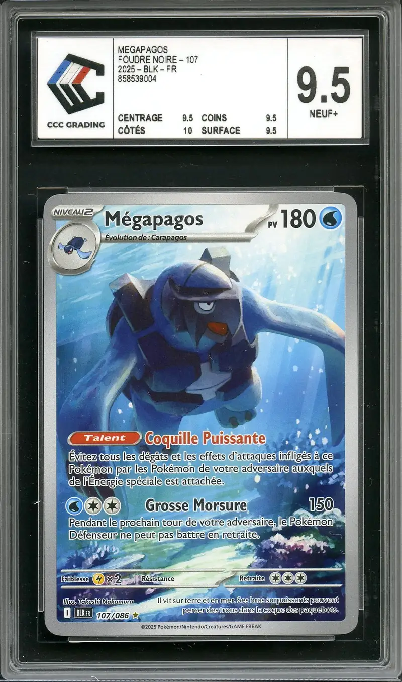 CCC 9.5 Mégapagos
