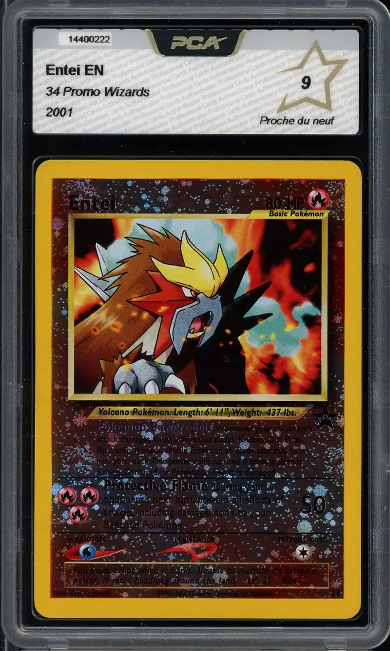 PCA 9 Entei