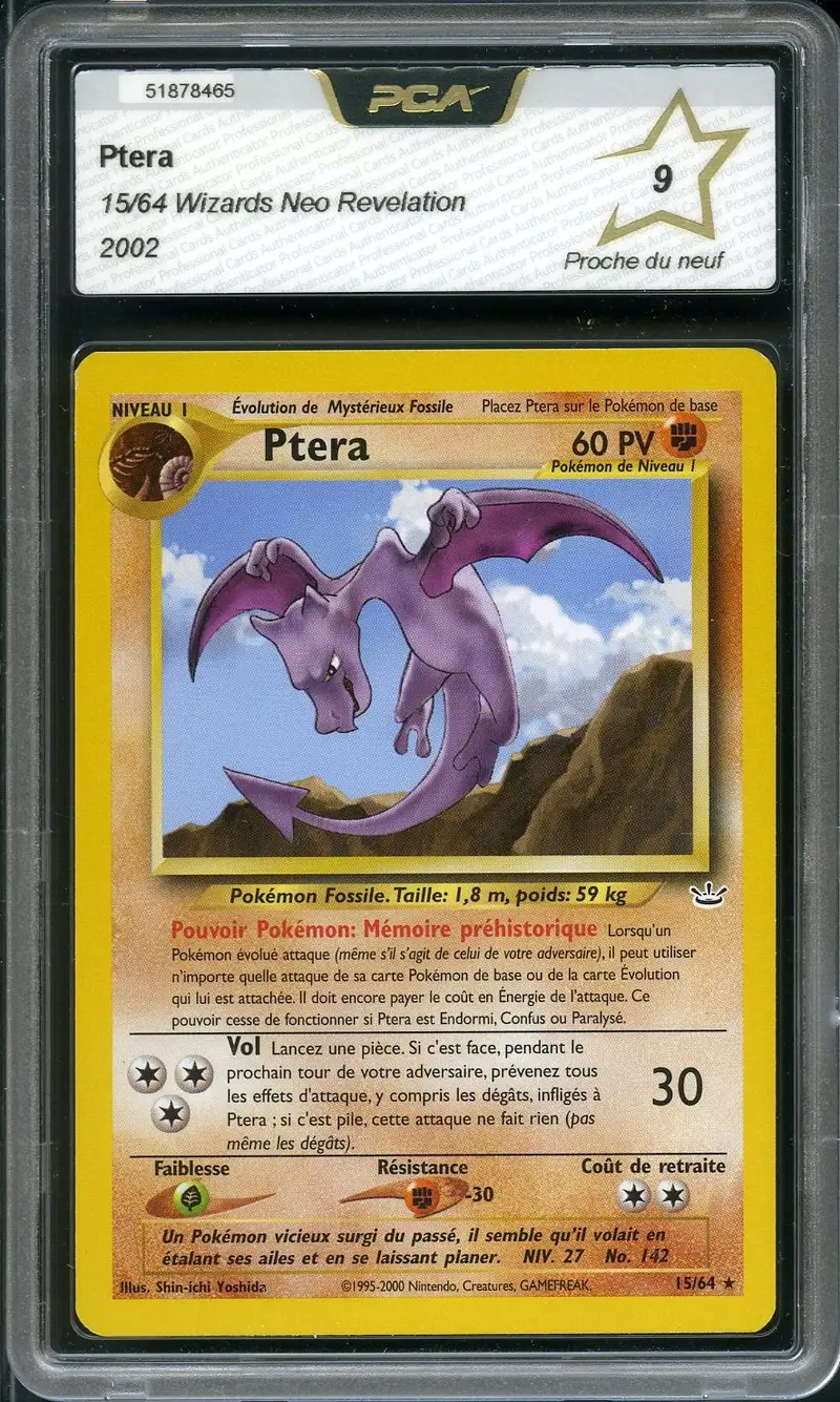 PCA 9 Ptera
