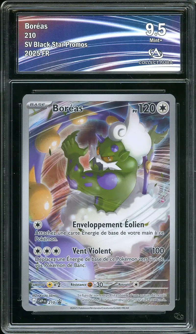 CA 9.5 Boréas