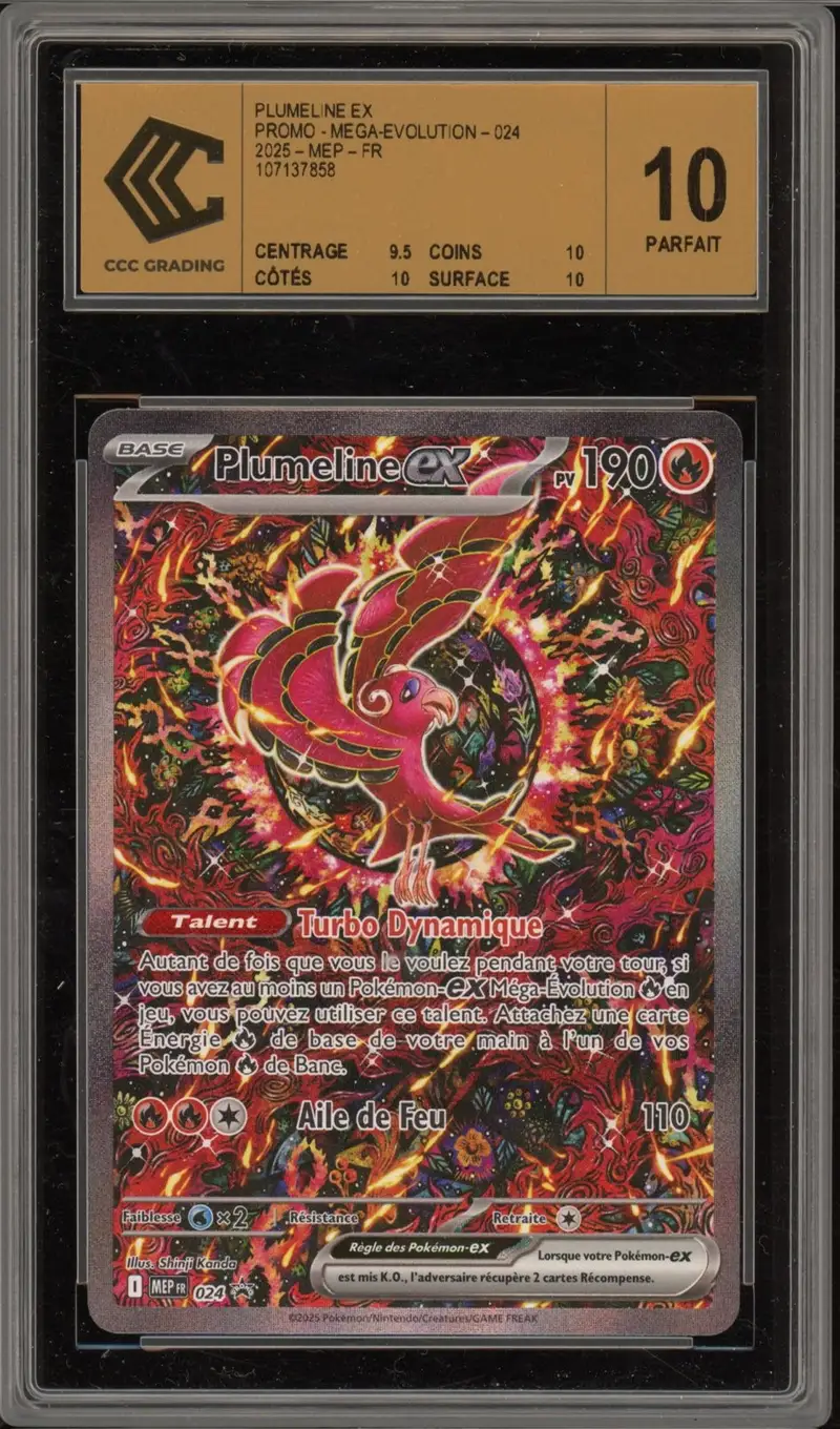 CCC 10 Plumeline Ex