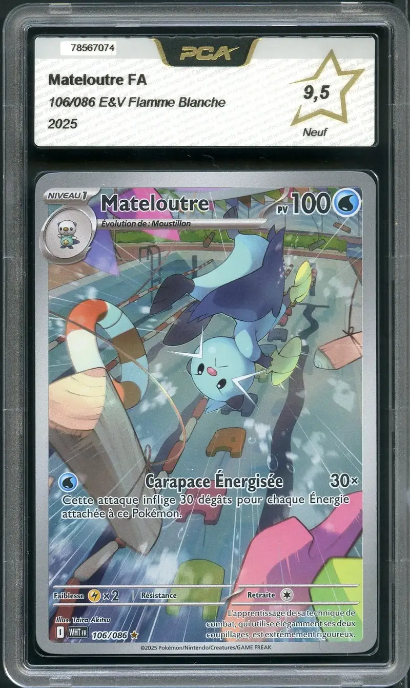 PCA 9.5 Mateloutre