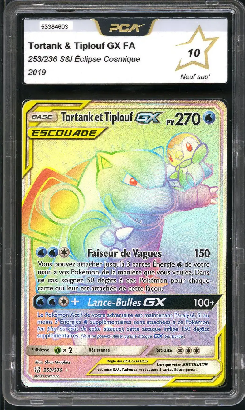 PCA 10 Tortank et Tiplouf Gx Rainbow
